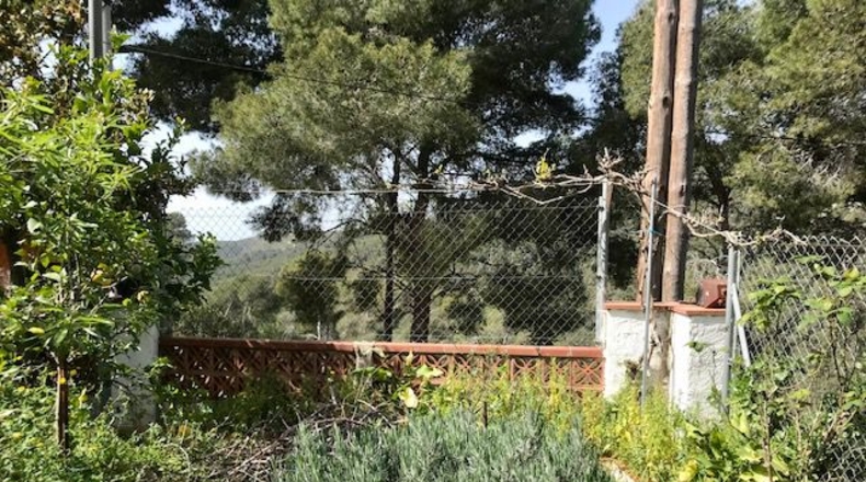 Barcelona - les Palmeres - 586m2