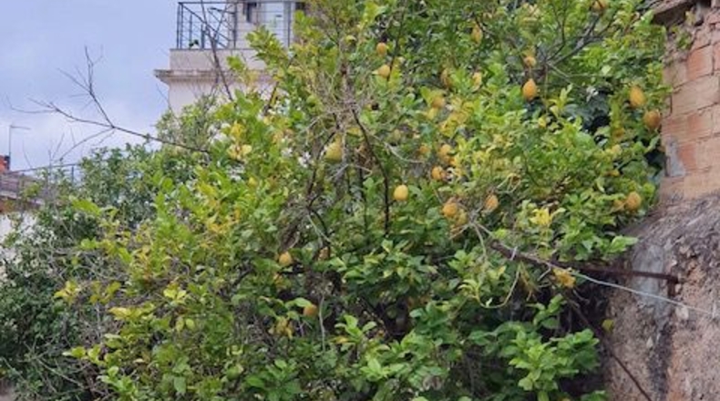 Barcelona - Santa Margarida i els Monjos - 305m2