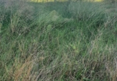 Sòl urbà en venda a Vilafranca del Penedès ref.: TR110801 foto