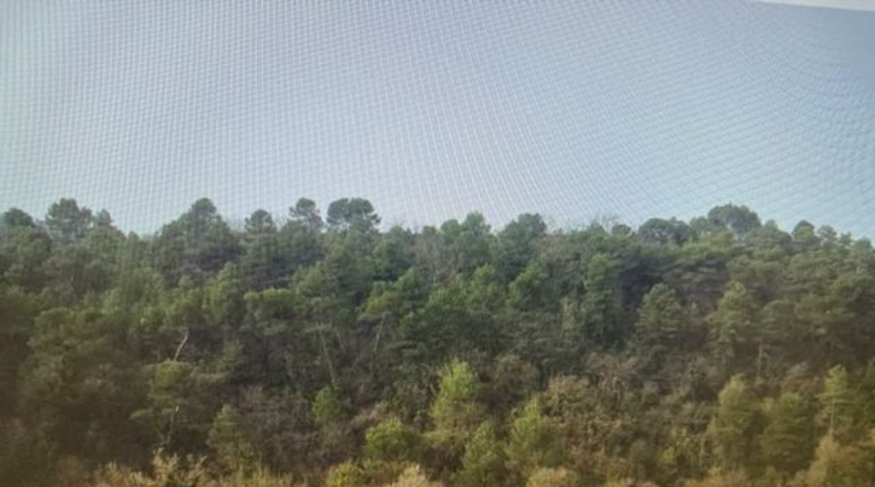 Barcelona - Argençola - 710000m2