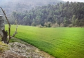 Finca rústica en venta en Argençola ref: TR45927 foto