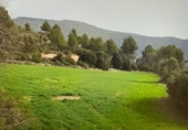 Finca rústica en venta en Argençola ref: TR45927 foto