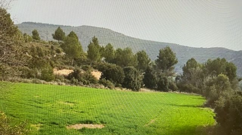 Barcelona - Argençola - 710000m2