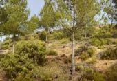 Finca rústica en venta en Argençola ref: TR45927 foto