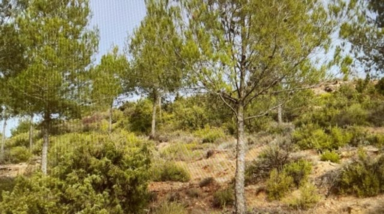 Barcelona - Argençola - 710000m2
