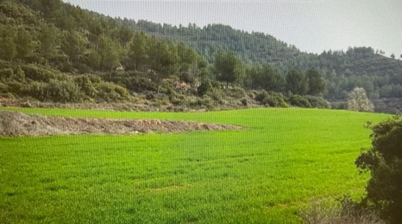 Barcelona - Argençola - 710000m2