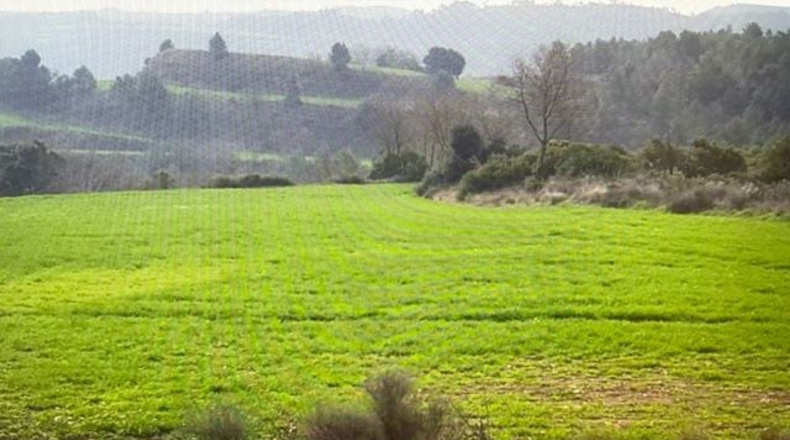 Barcelona - Argençola - 710000m2