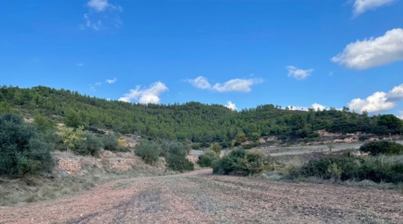 Barcelona - Argençola - 710000m2