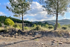 Foto 15