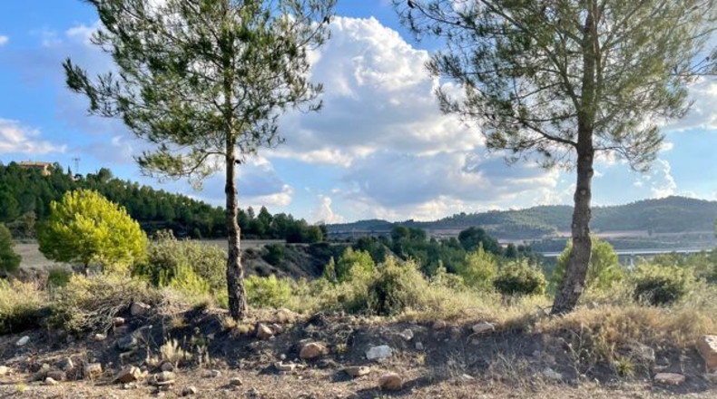 Barcelona - Argençola - 710000m2