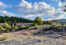 Foto 16