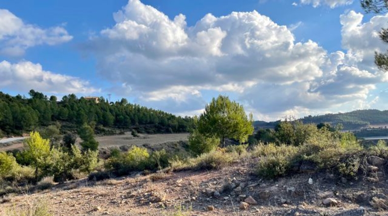 Barcelona - Argençola - 710000m2