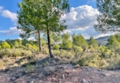 Finca rústica en venta en Argençola ref: TR45927 foto