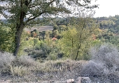 Finca rústica en venta en Argençola ref: TR45927 foto
