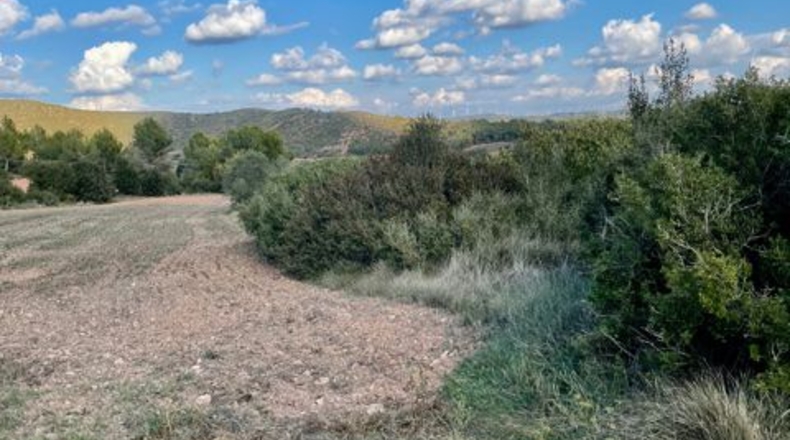 Barcelona - Argençola - 710000m2