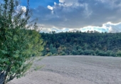 Finca rústica en venta en Argençola ref: TR45927 foto