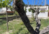 Terreny no urbanitzable en venda a Vilafranca del Penedès ref.: TR61107 foto