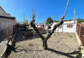 Terreny no urbanitzable en venda a Vilafranca del Penedès ref.: TR61107 foto