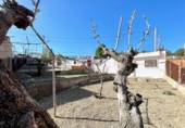 Terreny no urbanitzable en venda a Vilafranca del Penedès ref.: TR61107 foto