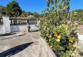 Terreny no urbanitzable en venda a Vilafranca del Penedès ref.: TR61107 foto