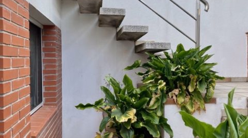 Barcelona - Vilafranca del Penedès - 232m2
