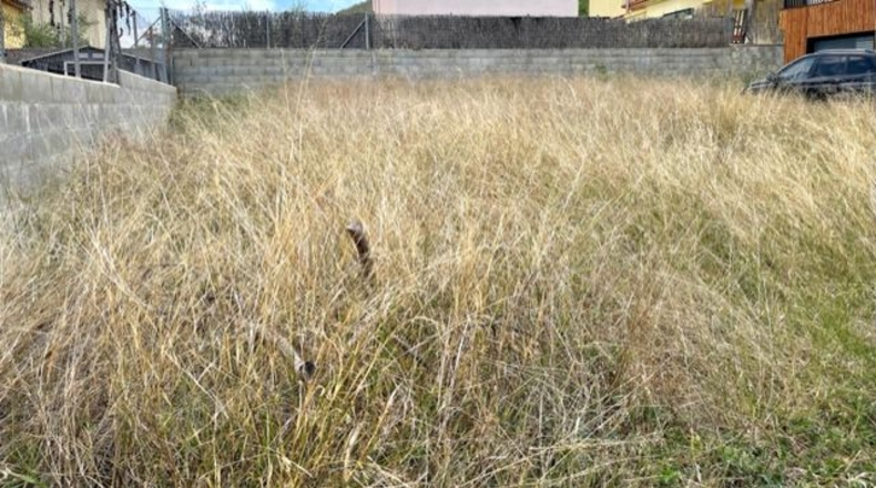 Barcelona - Pacs del Penedès - 250m2