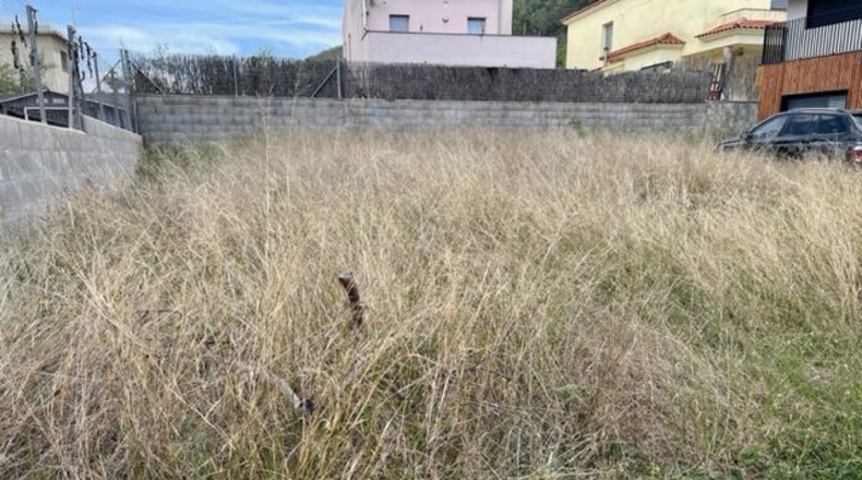 Barcelona - Pacs del Penedès - 250m2