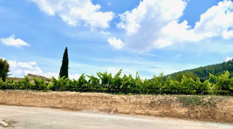 Barcelona - Pacs del Penedès - 250m2