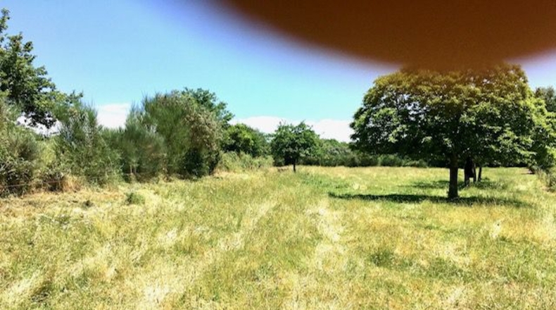 Lugo - Pacios - 2000m2
