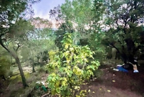 Foto 9