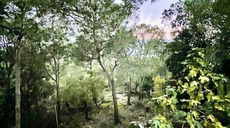Barcelona - Torrelles de Foix - 2000m2