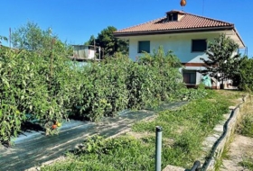 Querol 3967&nbsp;m²