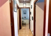Rural estate for sale in Querol ref: TR317899 photo