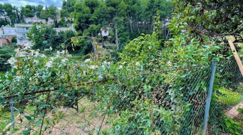 Barcelona - Torrelles de Foix - 571m2