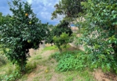Casa de camp amb terreny en venda a Torrelles de Foix ref.: TR344363 foto