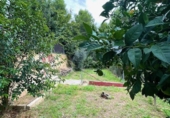 Casa de camp amb terreny en venda a Torrelles de Foix ref.: TR344363 foto