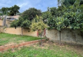 Casa de camp amb terreny en venda a Torrelles de Foix ref.: TR344363 foto