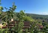 Semi-detached house with land for sale in Castellet ref: TR346598 photo