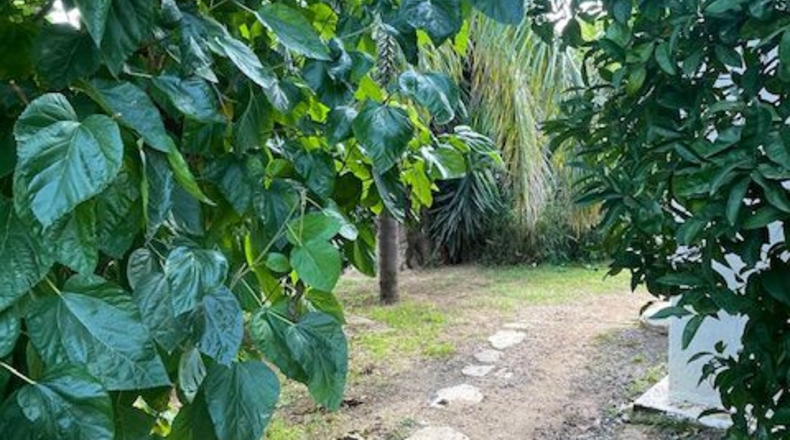Barcelona - Santa Margarida i els Monjos - 4250m2