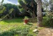 Casa de camp amb terreny en venda a Santa Margarida de Montbui ref.: TR350220 foto