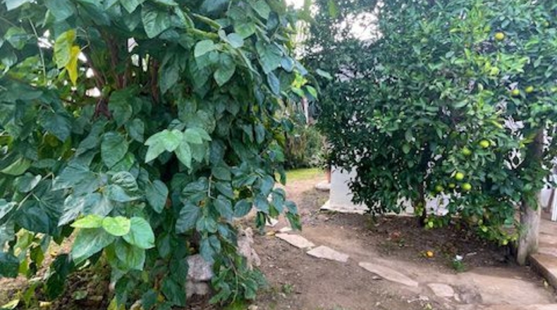 Barcelona - Santa Margarida i els Monjos - 4250m2