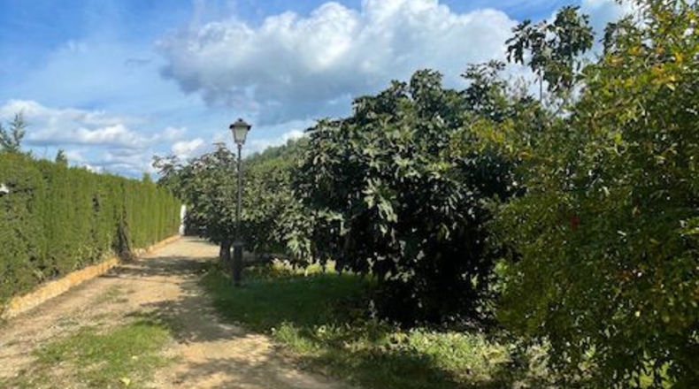 Barcelona - Santa Margarida i els Monjos - 4250m2