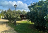 Casa de camp amb terreny en venda a Santa Margarida de Montbui ref.: TR350220 foto