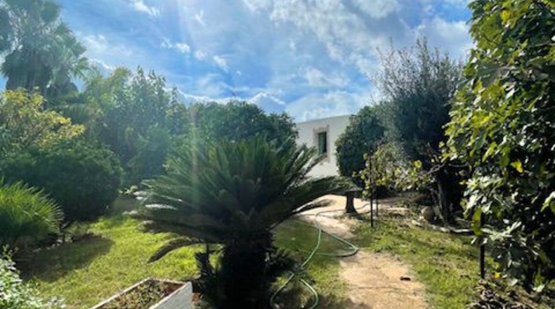 Barcelona - Santa Margarida i els Monjos - 4250m2