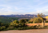 Xalet independent amb terreny en venda a la Bisbal del Penedès ref.: TR360759 foto