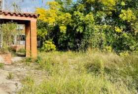 Foto 6