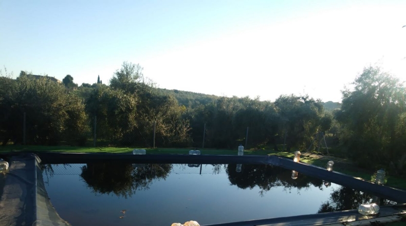 Sevilla - Morón de la Frontera - 10000m2
