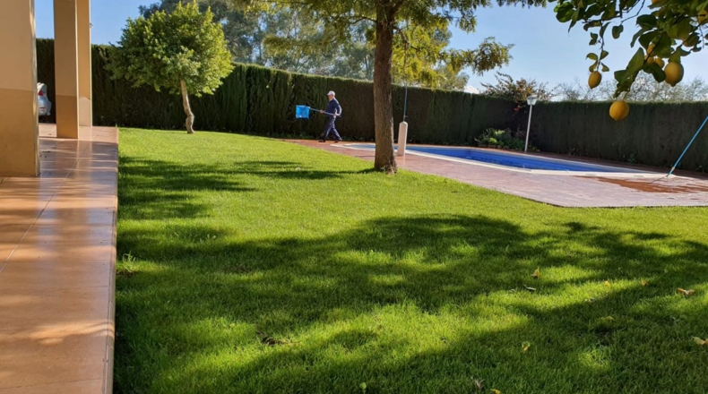 Sevilla - Morón de la Frontera - 740m2