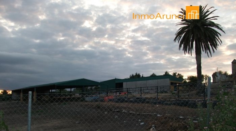 Sevilla - Morón de la Frontera - 50000m2