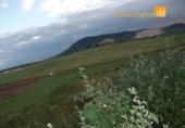 Земля на продажу у города Morón de la Frontera. Фото